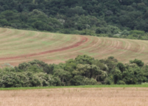 CT de Meio Ambiente esclarece dúvidas sobre CAR dinamizado