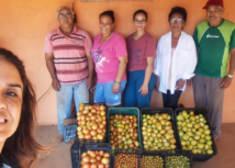 Programa de Tomate Orgânico em Agudos leva conhecimento e renda a produtores assentados