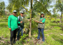 Senar e Faema - Transformando a produção rural com tecnologia e gestão
