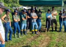 Dia de Campo aborda implantação e manejo de pastagens perenes com foco no capim Tangola