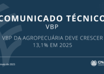 VBP da Agropecuária deve crescer 13,1% em 2025
