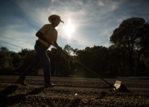 Dez Dias de Campo para o produtor do Triângulo Mineiro