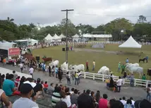 Setor produtivo define data para Expofeira Paraíba Agronegócios 2023