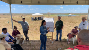 Sistema Faec/Senar e Instituto CNA promovem Dia de Campo do Projeto Forrageiras em Ibaretama