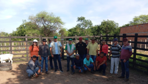 Produtores participam de curso de Manejo Sanitário em caprinos e ovinos em Caldeirão Grande