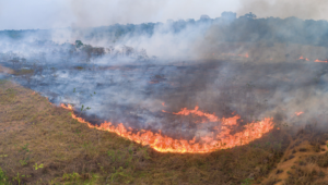 Senar-SP lança seminário de combate a incêndios com objetivo de evitar perdas ambientais e econômicas