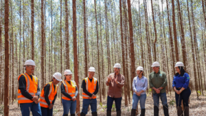 Mestres do Agro estreia hoje no YouTube do Sistema Famasul como o primeiro reality show do agronegócio brasileiro
