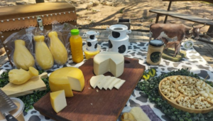 Agroindústrias atendidas pelo Senar/MS conquistam Selo ARTE e ampliam valorização de produtos artesanais