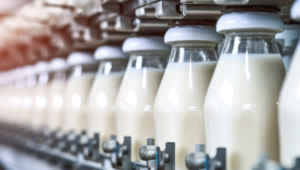 Setor leiteiro aposta em plano de incentivo à exportação de lácteos