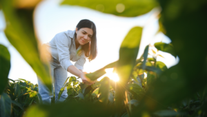 Mulheres ganham espaço no agro e já representam 27% das propriedades atendidas pelo Senar/MS