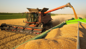 Sistema FAEP alerta para o risco da falta de diesel para o agro