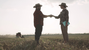 Artigo: Jornada 6×1: mais debate técnico, menos politicagem