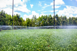 Senar lança websérie Brasil Irrigado no portal Senar Play   