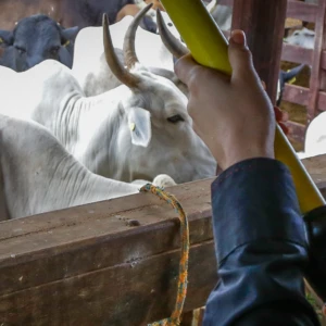 Agregar valor à produção dos pecuaristas pela certificação e rastreabilidade de seus produtos