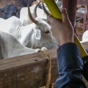 Facilita o acesso dos produtores rurais a diversos serviços e oportunidades