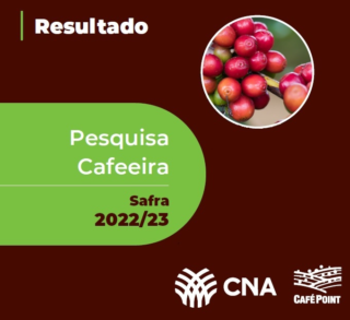 Pesquisa aponta temas prioritários para os cafeicultores