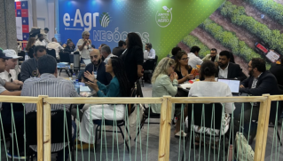 Produtores de frutas participam de rodadas de negócios em Salvador