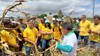 Dia de Campo leva conhecimento para aumentar a produtividade do milho em Sergipe