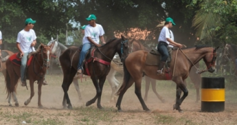 Senar-SC qualifica gratuitamente mais de 4500 profissionais do meio rural