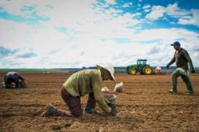 CNA debate legislação trabalhista e programa Jovem Aprendiz Rural