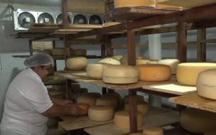 Queijaria artesanal faz sucesso após ATeG do Senar Goiás