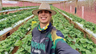 Produtor migra de atividade e decola no cultivo de morangos