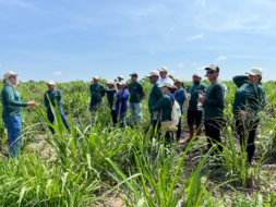 ​Senar Amazonas promove, em convênio com o Sebrae/AM, Dia de Campo na Vila do Novo Céu, em Autazes