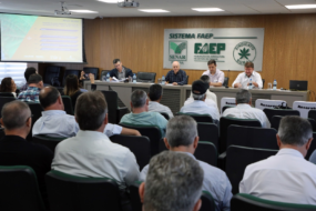 Fórum define proposta para calendário de semeadura da soja no Paraná
