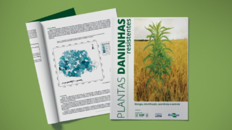 Sistema FAEP lança cartilha sobre plantas daninhas