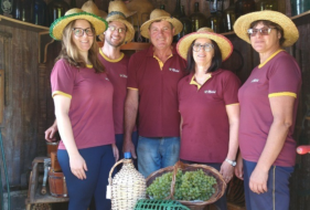 Produtor de vinhos une tradição familiar e novas técnicas de produção