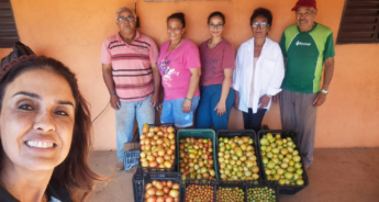 Programa de Tomate Orgânico em Agudos leva conhecimento e renda a produtores assentados