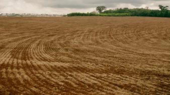 Vazio sanitário da soja no Paraná começa em junho