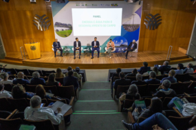 Painel debate energia e água para o desenvolvimento da irrigação