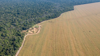 Produtor não é obrigado a vender terra, alerta Sistema FAEP