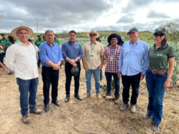 Dia de Campo do Projeto Forrageiras transforma o Semiárido paraibano em laboratório a céu aberto