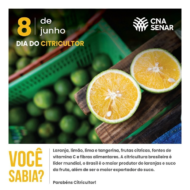 Dia do Citricultor – Produtores garantem competitividade da citricultura brasileira