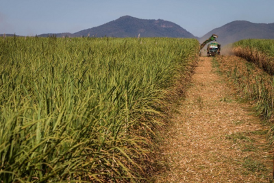 Prazo para pagamento do CCIR 25 termina na próxima semana