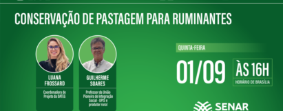 Live - Conservação de Pastagem para Ruminantes