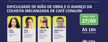 Dificuldade de mão de obra e o avanço da colheita mecanizada de café conilon