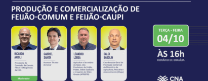 Produção e Comercialização de Feijão-comum e Feijão-caupi