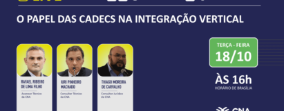 O papel das CADECs na integração vertical