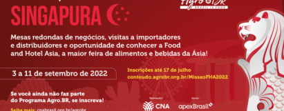 Missão Empresarial Singapura