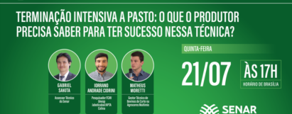 Terminação Intensiva a Pasto: O que o produtor precisa saber para ter sucesso nessa técnica?