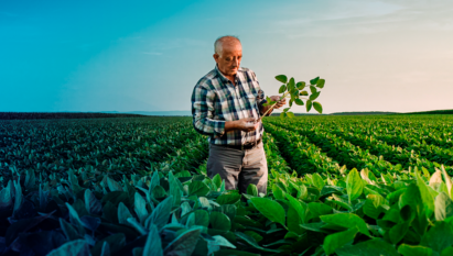 PANORAMA DO AGRO - SEMANA 14 A 18 DE MARÇO DE 2022