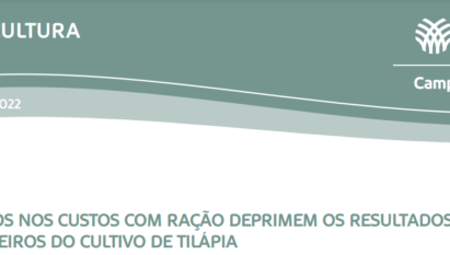 AVANÇOS NOS CUSTOS COM RAÇÃO DEPRIMEM OS RESULTADOS FINANCEIROS DO CULTIVO DE TILÁPIA