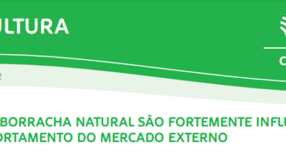 SILVICULTURA: DISPARADAS NO PREÇO DE IMPORTAÇÃO DE BORRACHA NATURAL QUE OCORRERAM EM 2021 PERDEU FORÇA EM 2022.