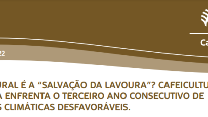 CAFÉ: CAFEICULTURA BRASILEIRA ENFRENTA O TERCEIRO ANO CONSECUTIVO DE CONDIÇÕES CLIMÁTICAS DESFAVORÁVEIS O QUE TORNA O SEGURO RURAL UMA IMPORTANTE FERRAMENTA DE GESTÃO DE RISCOS.