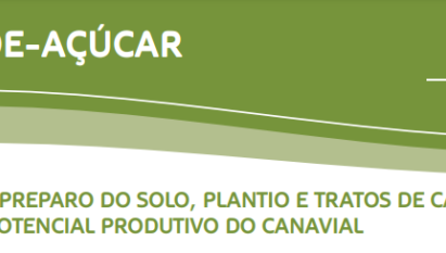 CANA-DE-AÇÚCAR: ELEVAÇÃO DO CUSTO DE FORMAÇÃO DO CANAVIAL SOMADA À UMA TENDÊNCIA DE REDUÇÃO DO PREÇO DA MATÉRIA-PRIMA CONSOLIDA UM CENÁRIO DESAFIADOR PARA OS PRODUTORES.