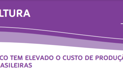 FRUTICULTURA: CANCRO CÍTRICO TEM ELEVADO O CUSTO DE PRODUÇÃO DAS LAVOURAS BRASILEIRAS