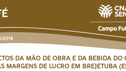 MARGENS DE LUCRO DO CAFÉ EM BREJETUBA ES